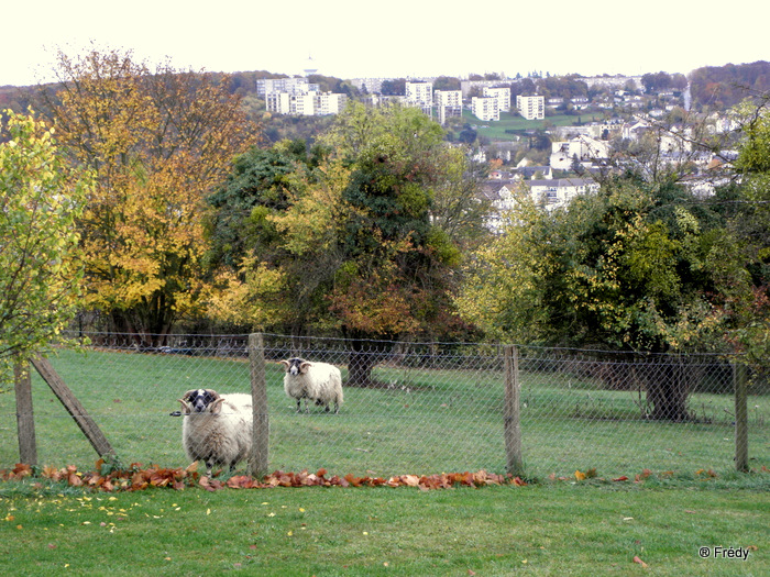 Panorama sur Evreux 20101107_015