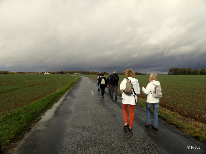 Les étangs de Damville et Le Sacq 20101108_008