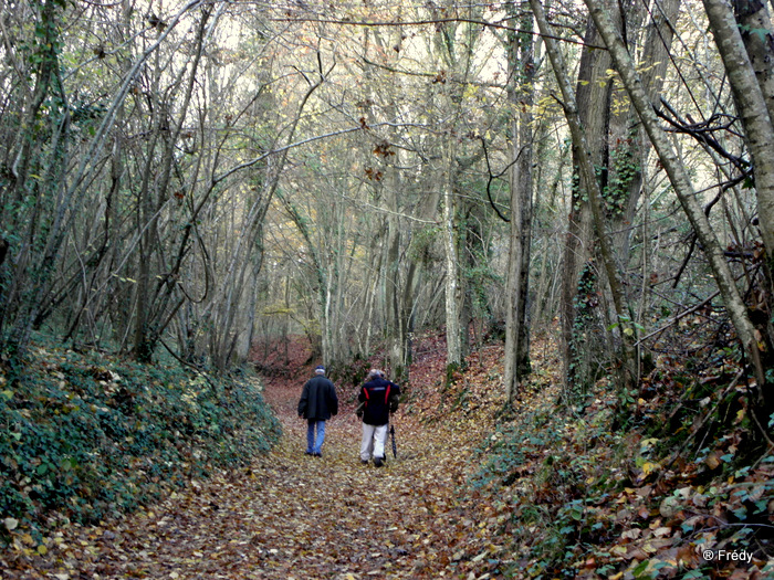 Entre Heudreville et Cailly sur Eure, avec ItonRando 20101110_011