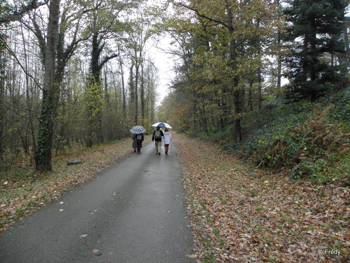 Conches, la Vallée du Rouloir, sous la pluie 20101113_003