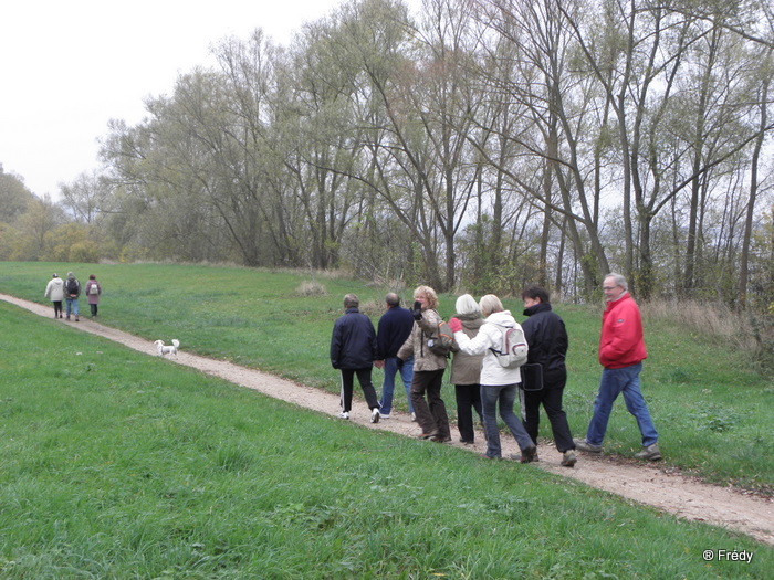 Poses, entre Eure et Seine, sans Iton-Rando 20101122_004