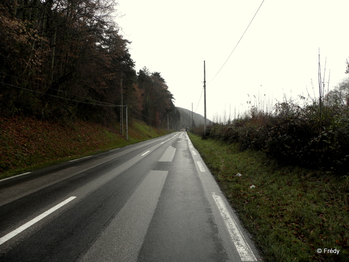 Les étangs d'Acquigny, sous la pluie 20101205_004