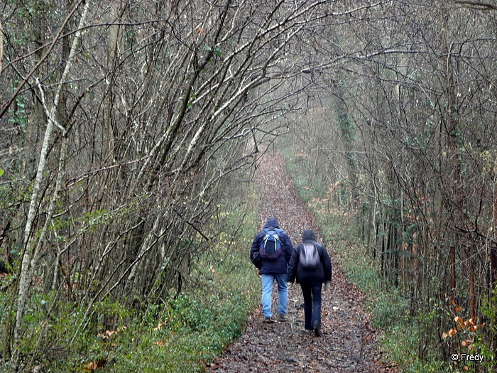 Les étangs d'Acquigny, sous la pluie 20101205_005