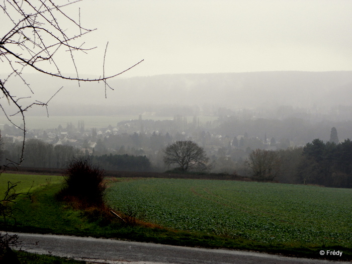 Les étangs d'Acquigny, sous la pluie 20101205_007