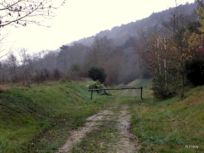 Les étangs d'Acquigny, sous la pluie 20101205_008