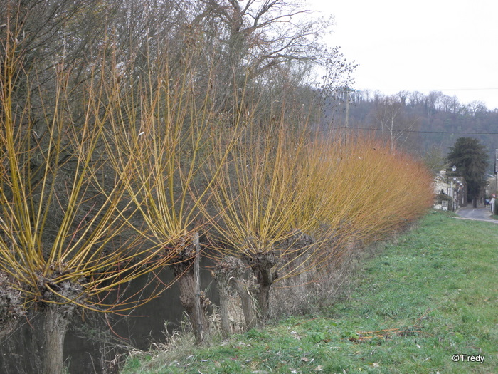 La Croix Saint-Leufroy 20101206_005