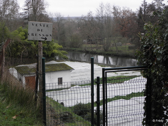 La Croix Saint-Leufroy 20101206_008