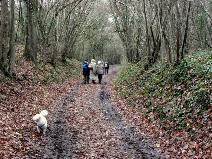 La Croix Saint-Leufroy 20101206_009