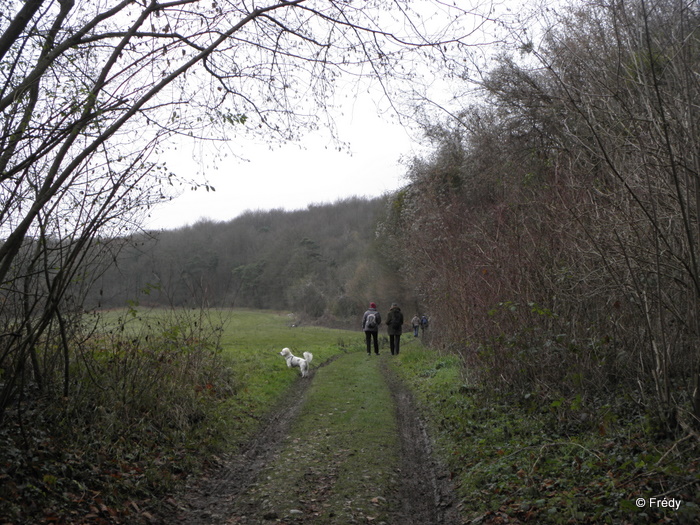 La Croix Saint-Leufroy 20101206_010