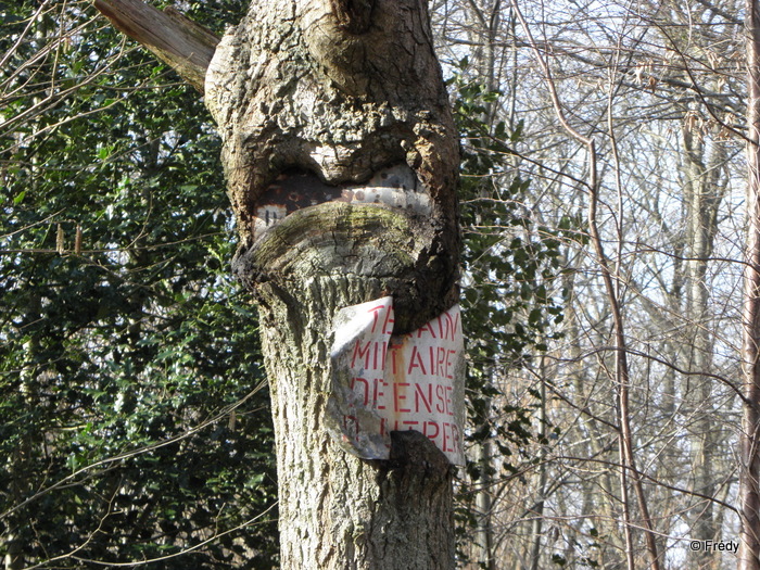 Giverny, les coteaux. 20110305_013