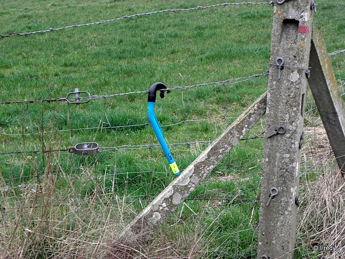 12 km autour de Brosville 20110319_015