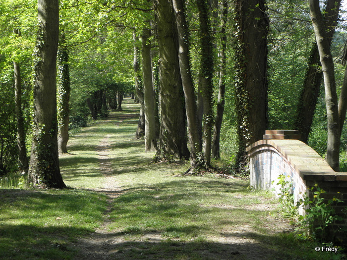 Marcilly Sur Eure 20110422_005