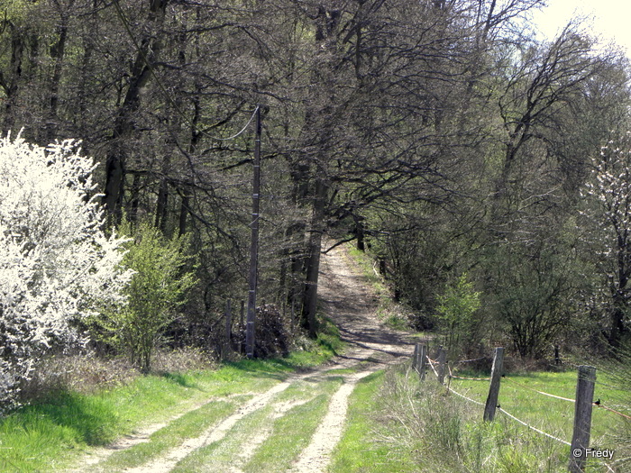 Villalet, le Fol Iton 20130425_008