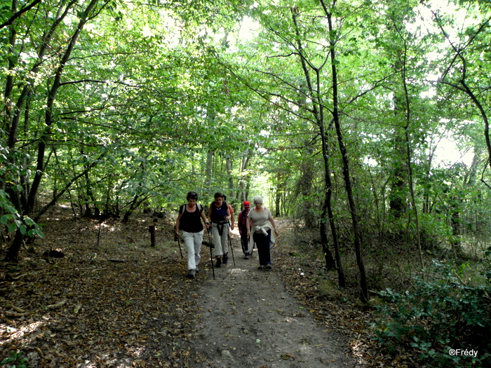 La Pierre Courcoulée 20130926_007