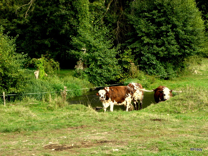 La Pierre Courcoulée 20130926_015