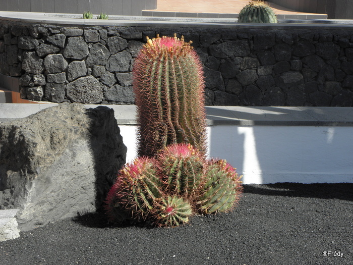 Canaries, île de Lanzarote, du 13 au 20 octobre 2013 20131019_061