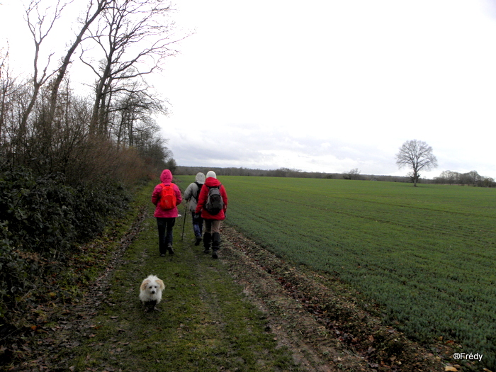 Beaumont le Roger, Manoir du Hom 20140109_008