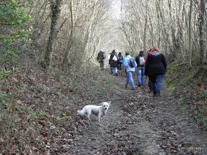 Amfreville sur Iton 20140119_005