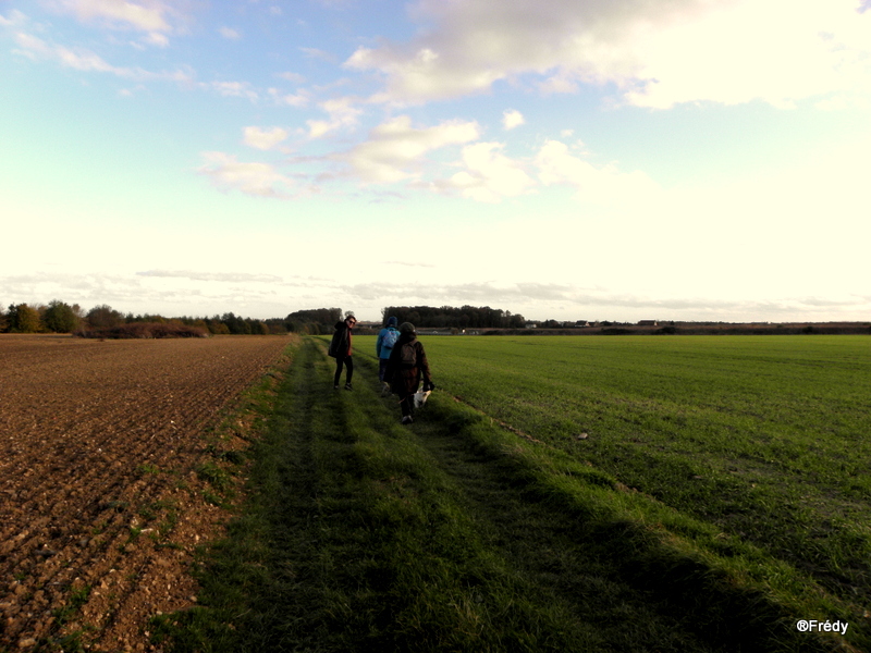 Entre Cambolle et Gauville 20141112_009