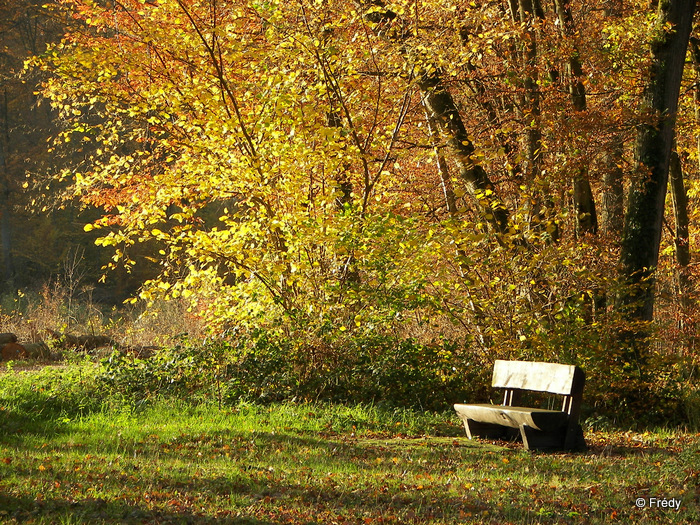 La Vallée Comette 20071109_084