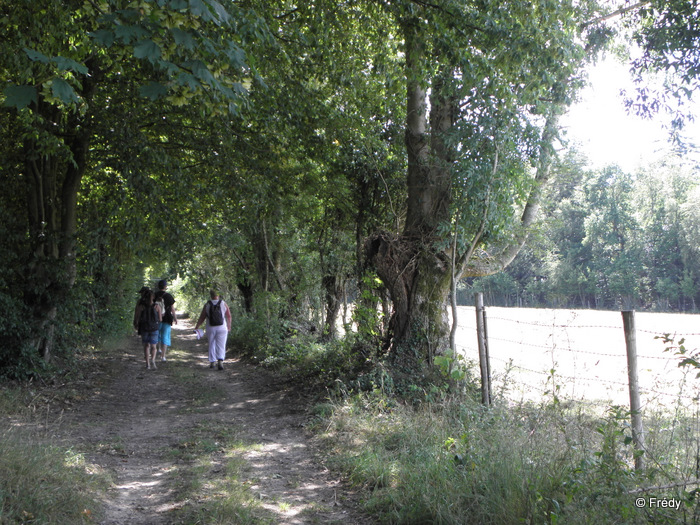 La Vallée du Guiel 20110704_009