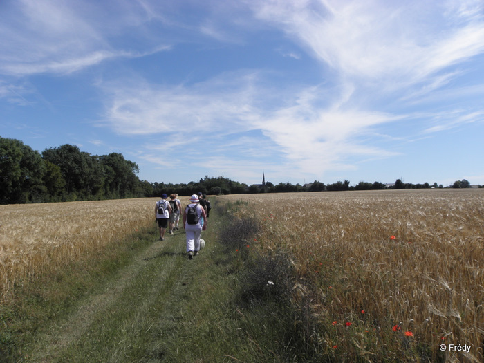 La Vallée du Guiel 20110704_013