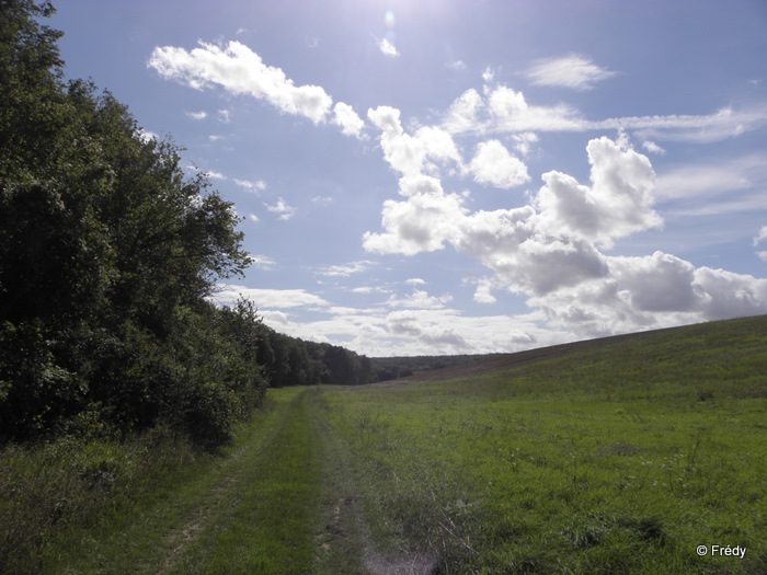 Heudreville et Cailly Sur Eure 20110905_004