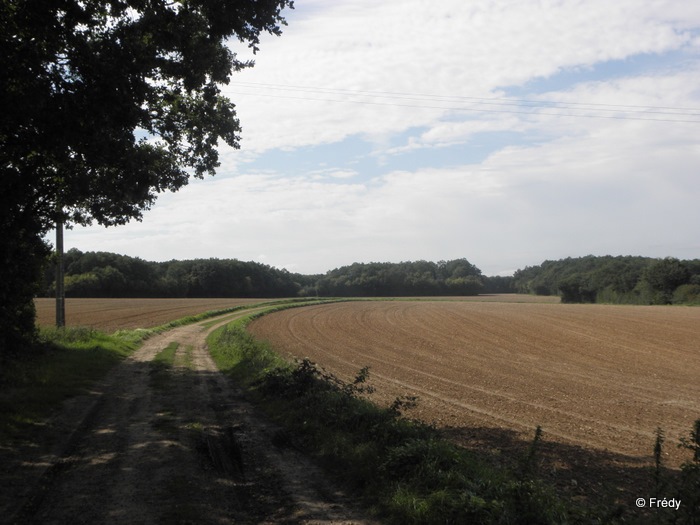 Entre Acon et Breux 20110910_006