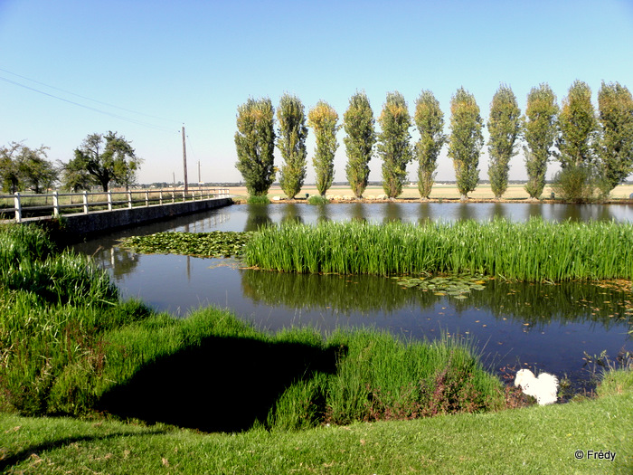 Garel, Le Plessis-Grohan 20110928_009