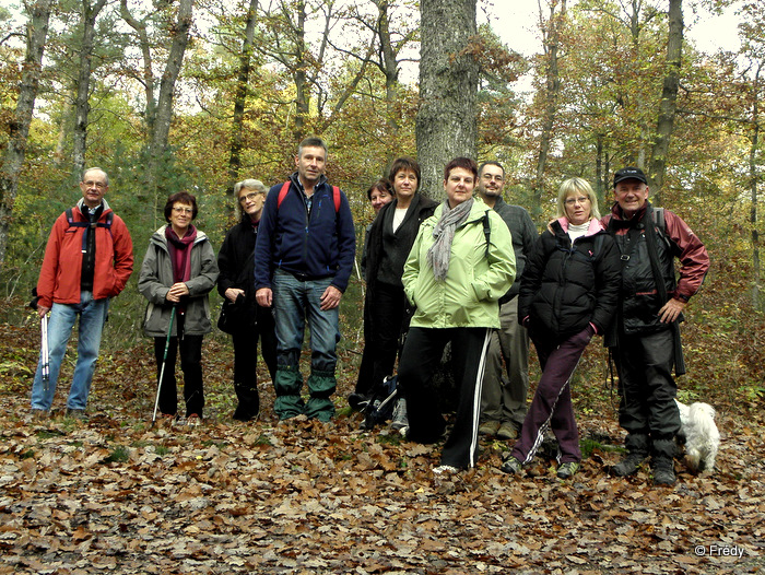 11 kilomètres en forêt d'Evreux 20111109_006