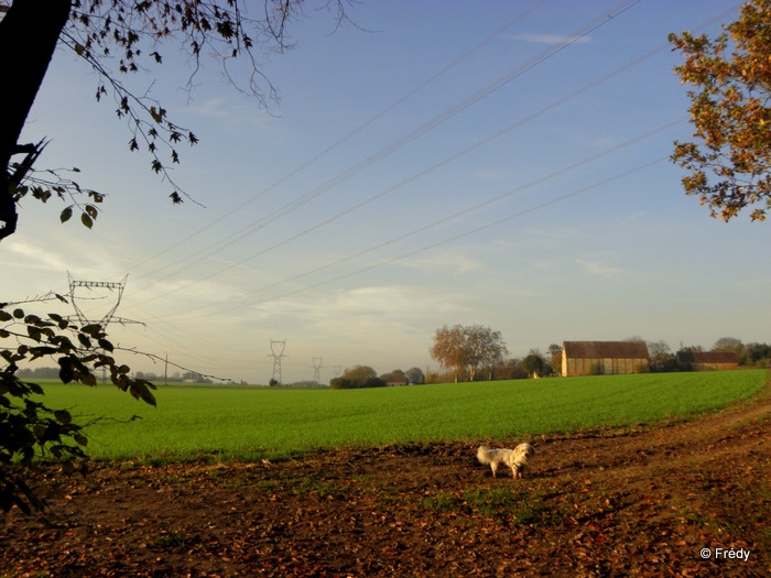 Le Sacq, Ardennes et Coulonges 20111114_015