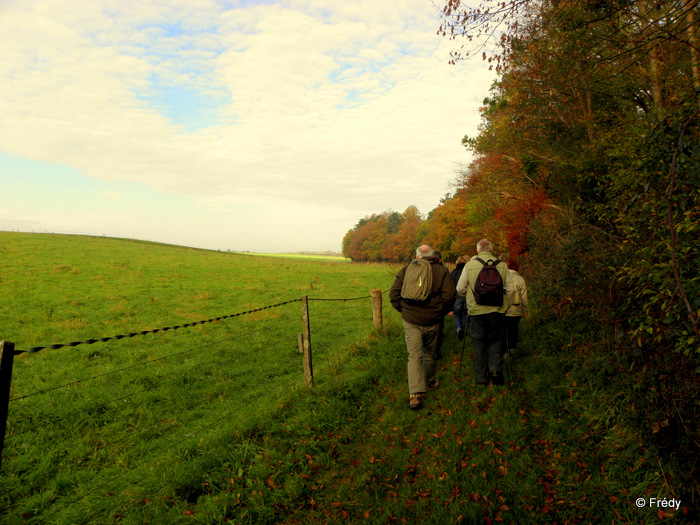 La Gaudrée et le Château de Chambray 20111121_001