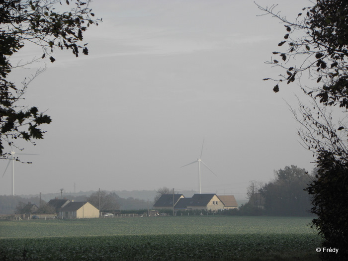 La Gaudrée et le Château de Chambray 20111121_005