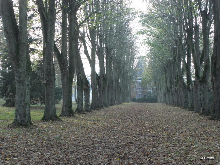 La Gaudrée et le Château de Chambray 20111121_006