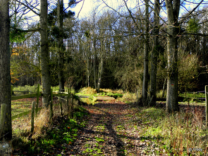 Coulonge, Damville et Le Sacq 20111210_002