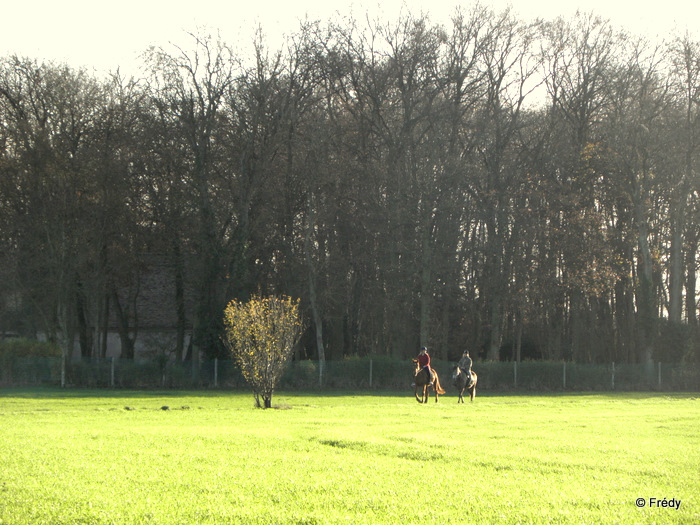 Coulonge, Damville et Le Sacq 20111210_013