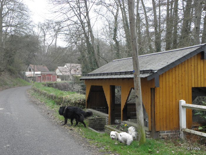 Le Sacq, Ardennes et Coulonges 20120317_003