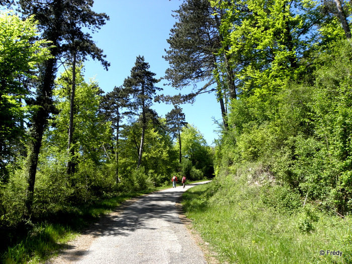 Vallée Comette, trop tard pour le muguet 20120513_004