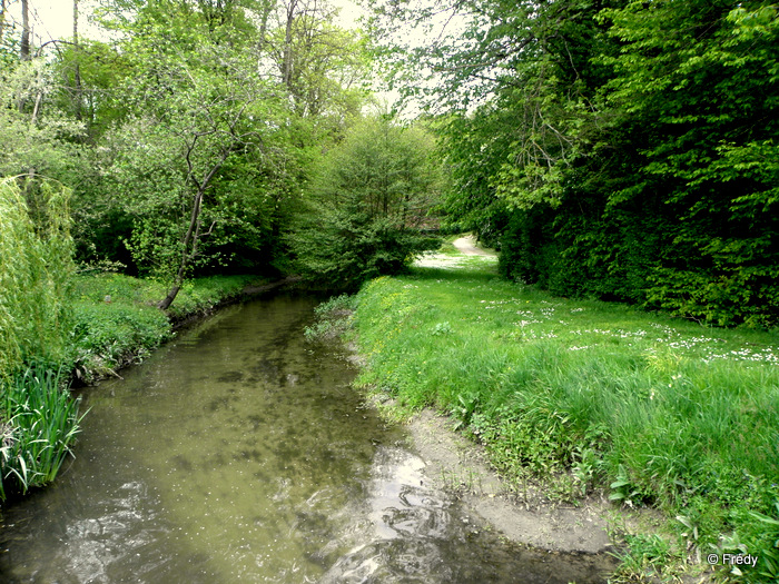 Champignolles 20120519_004