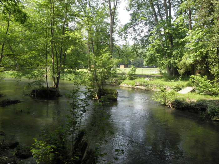 Amfreville Sur Iton 20120523_004