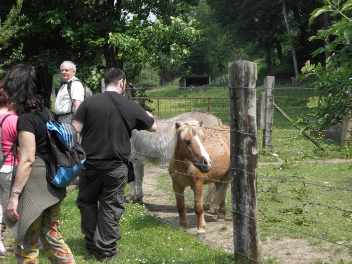 Amfreville Sur Iton 20120523_006