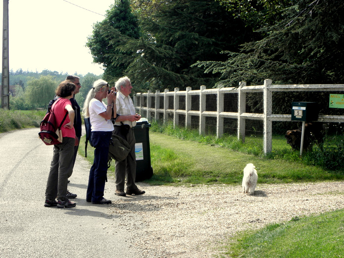 Amfreville Sur Iton 20120523_012