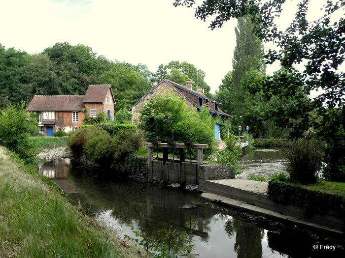 Le Sacq, Ardennes et Coulonges 20120609_006