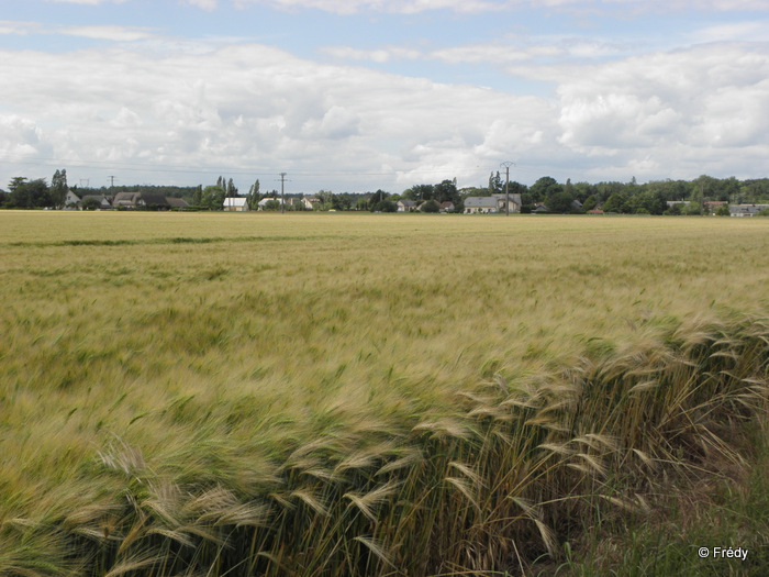 Le Sacq, Ardennes et Coulonges 20120609_015