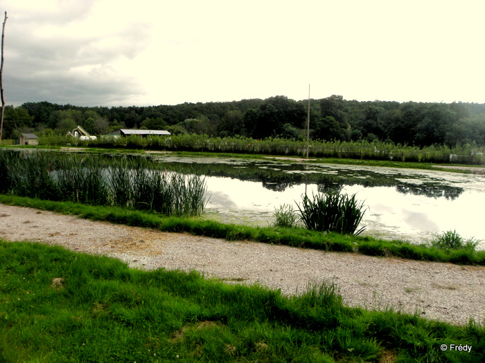 Beaumont Le Roger, le Manoir du Hom 20120618_005