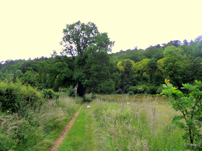 Beaumont Le Roger, le Manoir du Hom 20120618_009