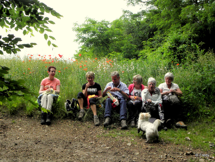 Beaumont Le Roger, le Manoir du Hom 20120618_010