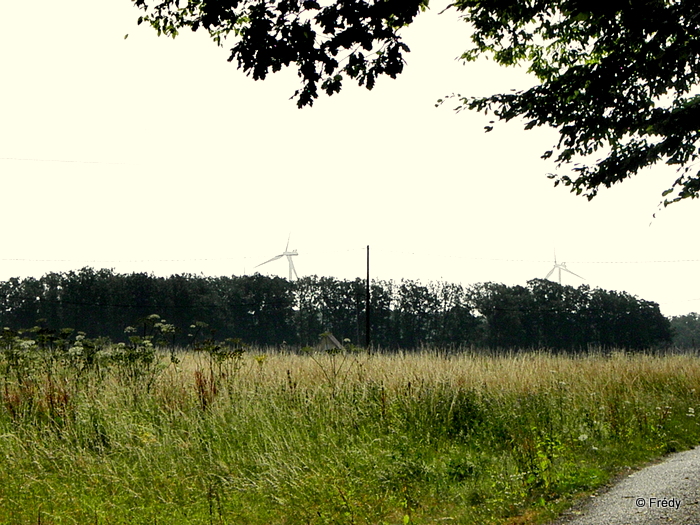 La Gaudrée, sans le château de Chambray 20120819_004