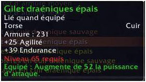 Parcequ'on remplacera son kipik par du vert level 62? Gilet_draenique_epais