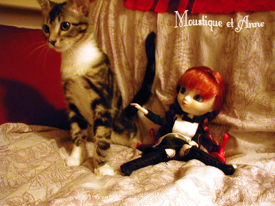 {PULLIP Anne Shirley} Photooos! Up p02::avec mon chat ^3^ - Page 2 AnnShirley2005-10_Moustique01bassdef